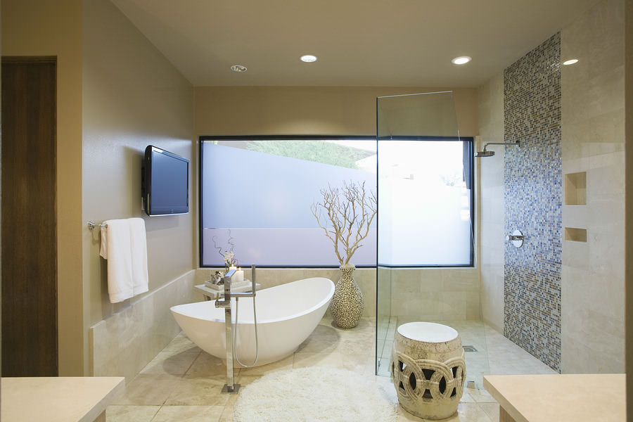 A modern bath and shower