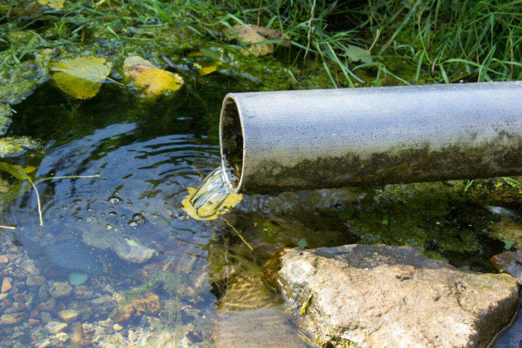 Water draining from a pipe into a creek