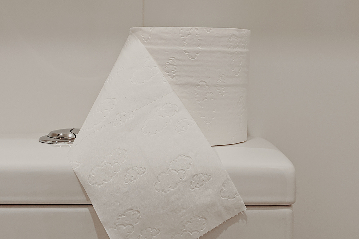 How the Heck Does a Toilet Actually Work? Biard & Crockett Orange County Plumber